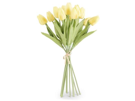 Tulip Bundle, Light Yellow