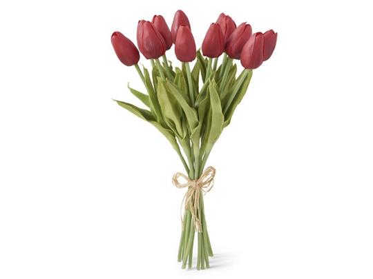 Tulip Bundle, Red