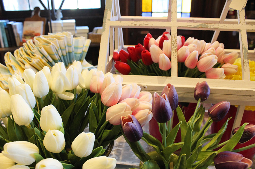 Tulips-Blog.jpg